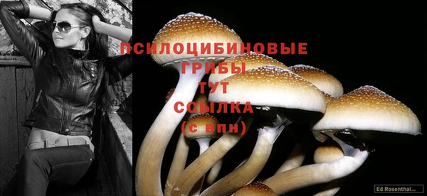 дмт Михайлов